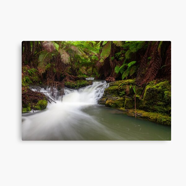 Item preview, Otways River Scene designed and sold by timmyvincent.