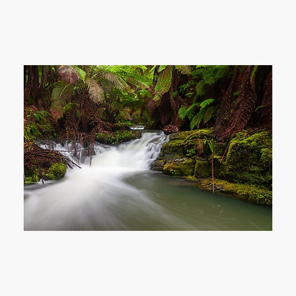Item preview, Otways River Scene designed and sold by timmyvincent.