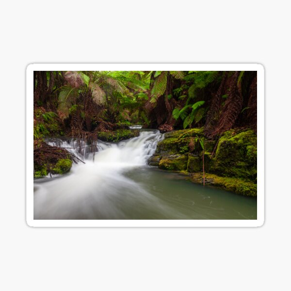 Item preview, Otways River Scene designed and sold by timmyvincent.