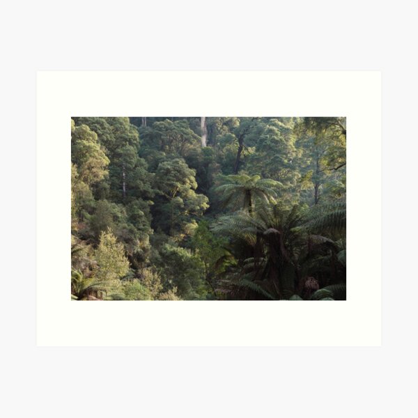 Item preview, Otways Rainforest designed and sold by timmyvincent.