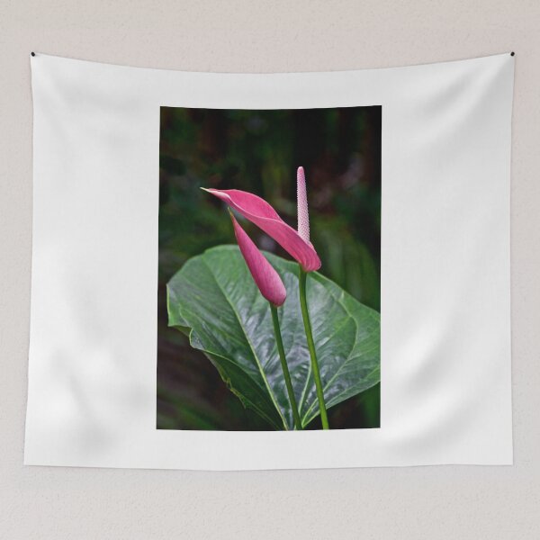 Item preview, Anthurium designed and sold by jjohnsueb.