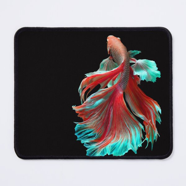 Item preview, Beautiful Orange Guppy fish Fancy Guppies Thai fighting fish, beautiful fish, guppies designed and sold by Bspaces.