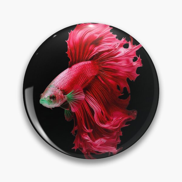 Item preview, Beautiful Wine Red Guppy fish Fancy Guppies Thai fighting fish, beautiful fish, guppies designed and sold by Bspaces.