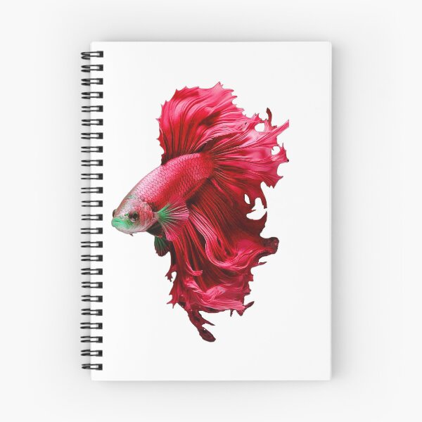 Item preview, Beautiful Wine Red Guppy fish Fancy Guppies Thai fighting fish, beautiful fish, guppies designed and sold by Bspaces.