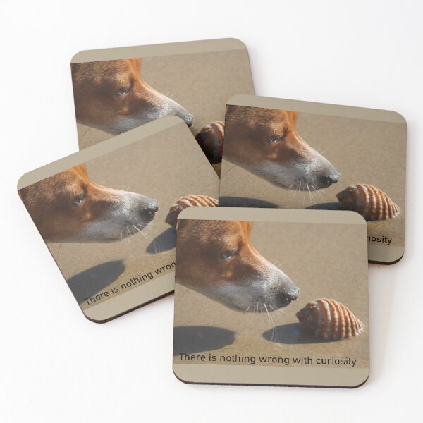 Item preview, There is nothing wrong with curiosity designed and sold by MacLittle.