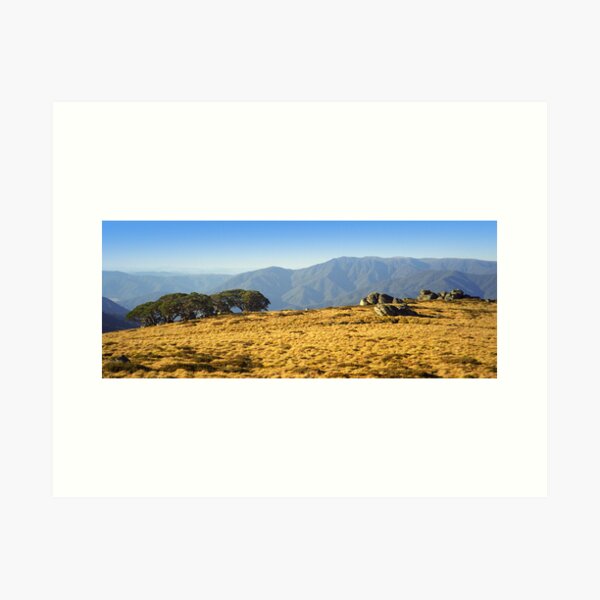 Item preview, Mt Bogong from Mt Fainters designed and sold by Travis Easton.