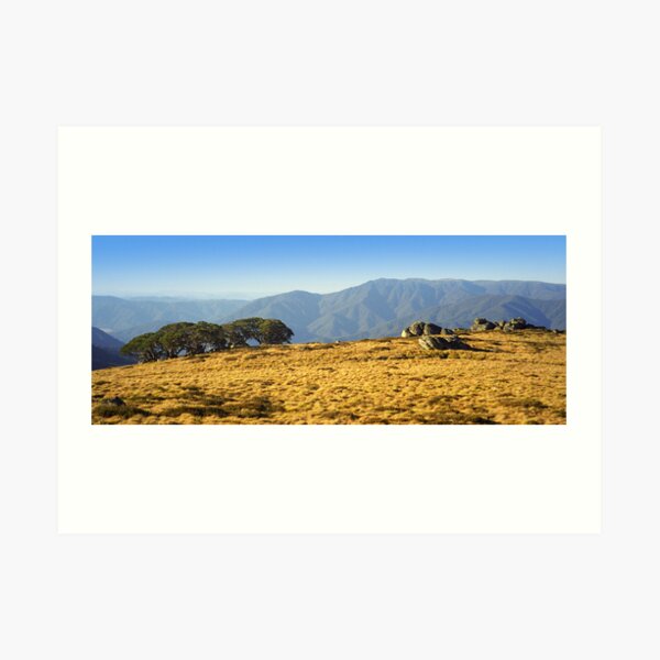 Mt Bogong from Mt Fainters Art Print