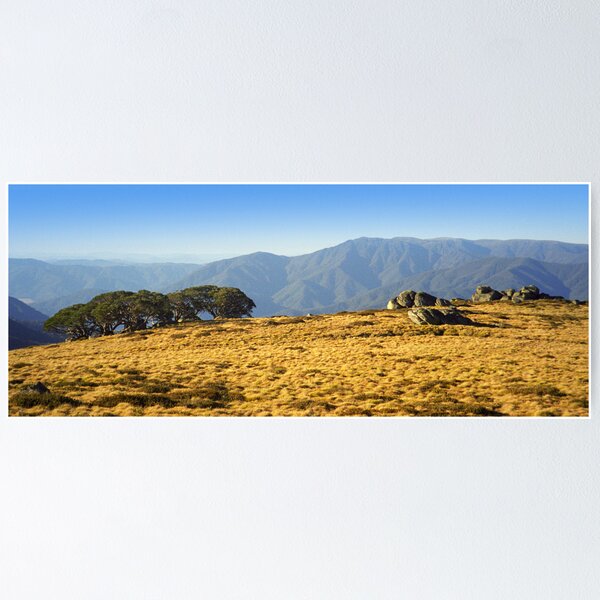 Mt Bogong from Mt Fainters Poster