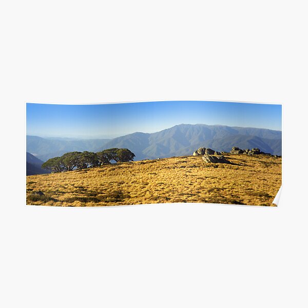 Mt Bogong from Mt Fainters Poster