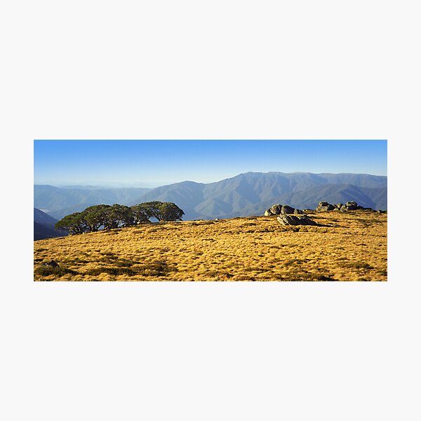 Mt Bogong from Mt Fainters Photographic Print