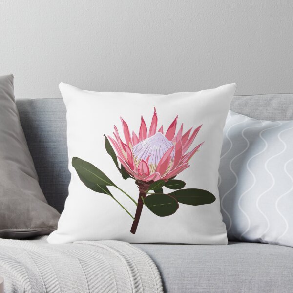 Item preview, Protea cinaroides flower illustration. designed and sold by MatyKotiv.