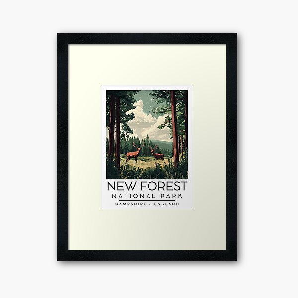 Aperçu de l'œuvre Une illustration vintage du parc national de New Forest - Angleterre créée et vendue par GoodOldVintage.