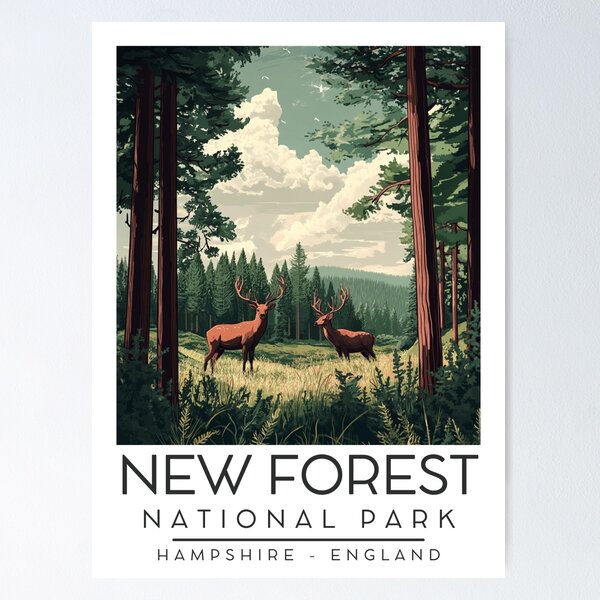 Item preview, A Vintage Illustration of New Forest National Park - England  designed and sold by GoodOldVintage.