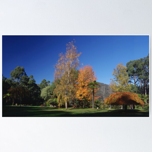Item preview, Doongalla Homestead site designed and sold by Steven Weeks.