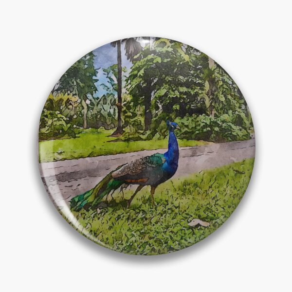 Item preview, Peacock in natural habitat watercolor  designed and sold by norakaren.