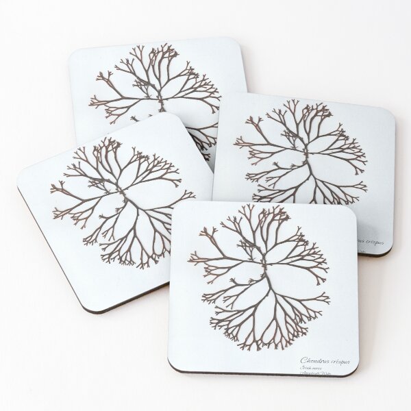 Item preview, Seaweed Print - Irish Moss designed and sold by harriet133.