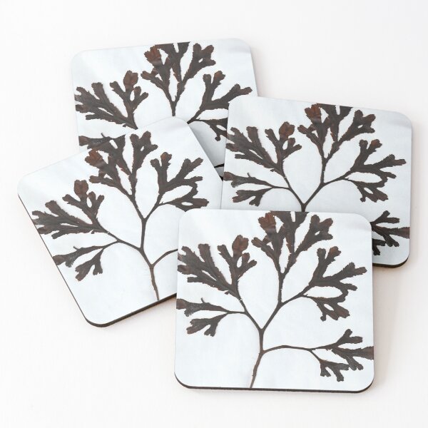 Item preview, Seaweed Print - Serrated Wrack designed and sold by harriet133.