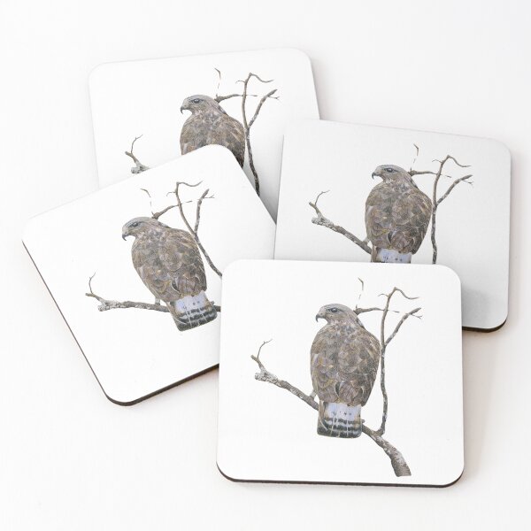 Item preview, American Rough-legged Buzzard designed and sold by fionahooperart.