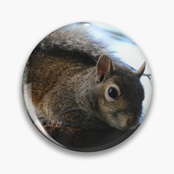 Item preview, One Squirrel designed and sold by HeadBlaze.