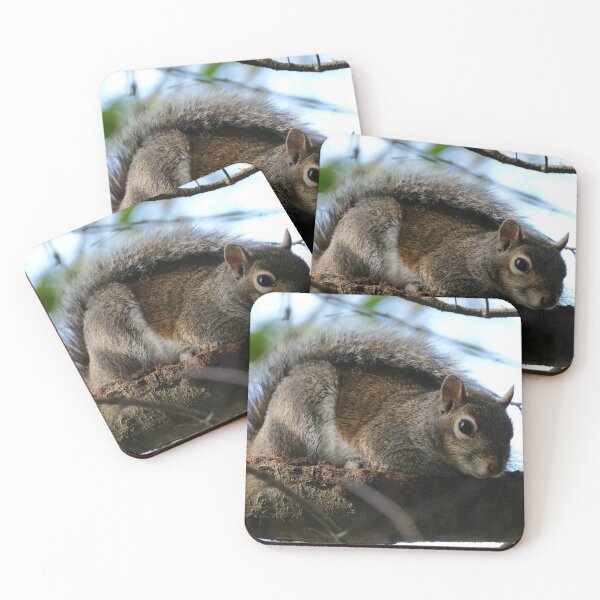 Item preview, One Squirrel designed and sold by HeadBlaze.