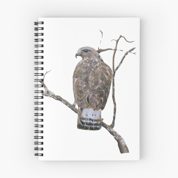 Item preview, American Rough-legged Buzzard designed and sold by fionahooperart.