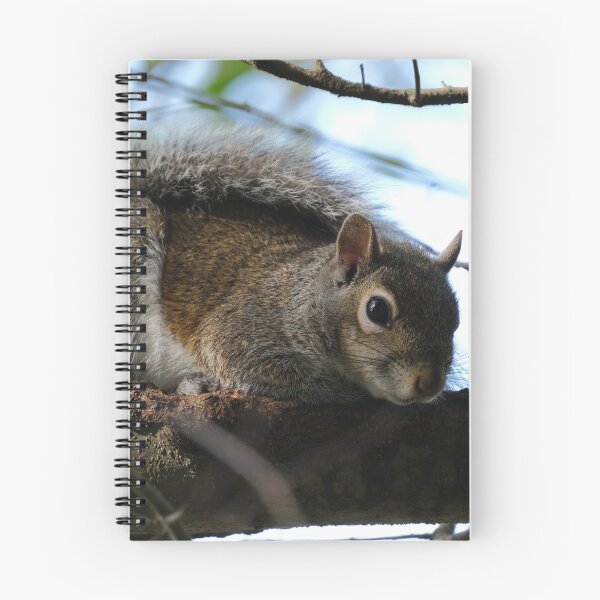 Item preview, One Squirrel designed and sold by HeadBlaze.