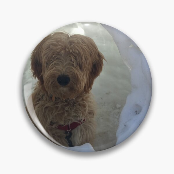 Artikelvorschau, Rocky im Iglu entworfen und verkauft von Emma Goldman-Sherman.