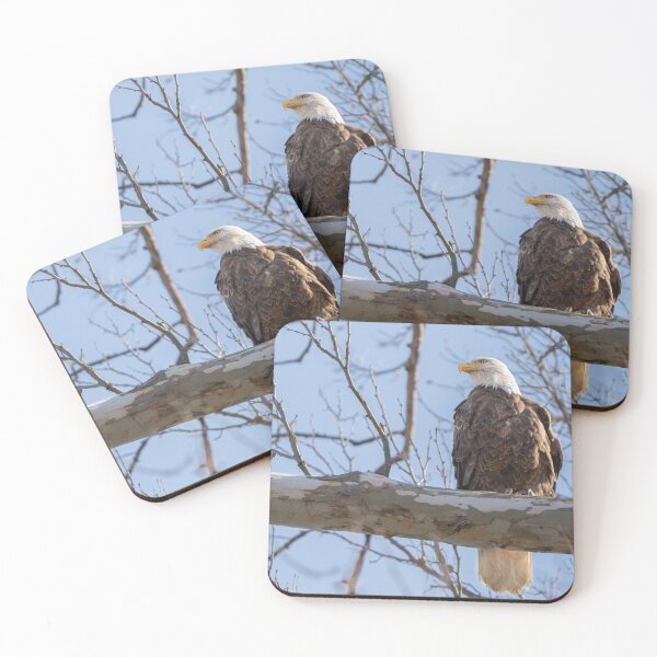 Item preview, Freedom on a branch designed and sold by KAY Artists.
