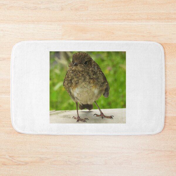Item preview, The Robin  designed and sold by Ribster13.