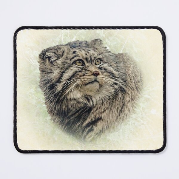 Item preview, Manul-Pallas's cat designed and sold by Guardi71.