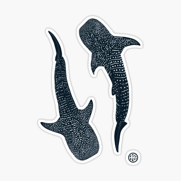 st,medium,507x507-pad,600x600,