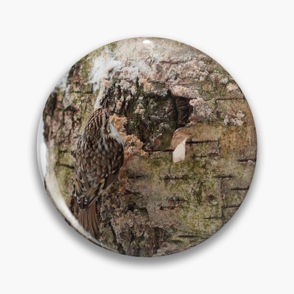 Item preview, Camo 8 Eurasian treecreeper designed and sold by Jouko Lehto Photography.