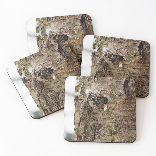 Item preview, Camo 8 Eurasian treecreeper designed and sold by Jouko Lehto Photography.