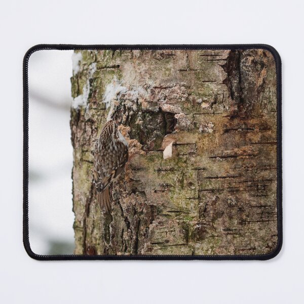 Item preview, Camo 8 Eurasian treecreeper designed and sold by Jouko Lehto Photography.