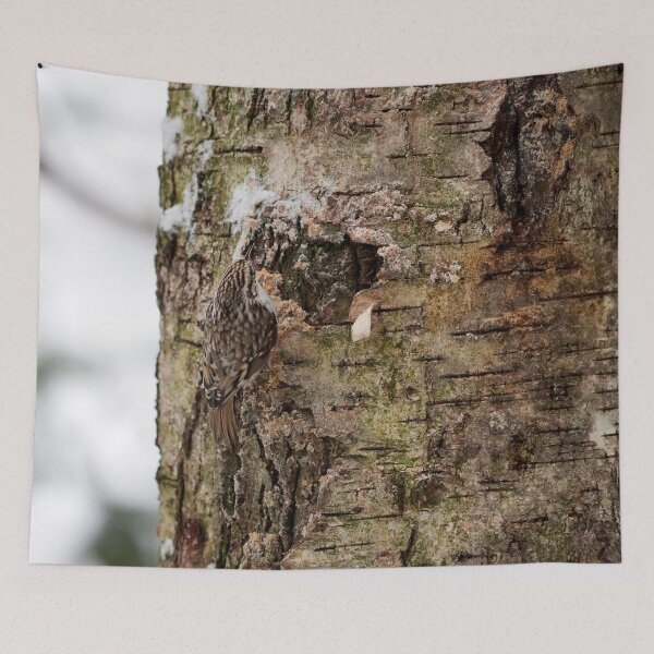 Item preview, Camo 8 Eurasian treecreeper designed and sold by Jouko Lehto Photography.