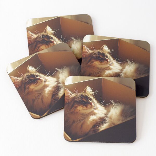 Item preview, Cat relaxing in a cardboard box designed and sold by anytka.