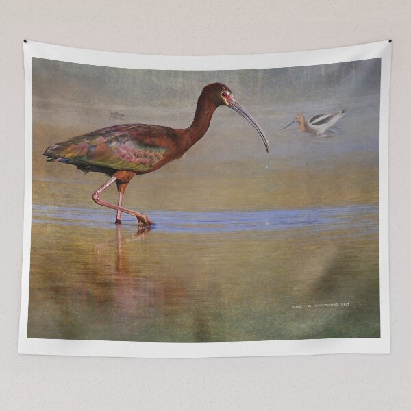 Item preview, white-faced ibis designed and sold by R Christopher  Vest.