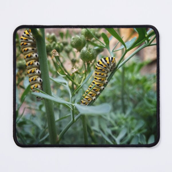Item preview, Monarch butterfly caterpillar designed and sold by Dirtpathdesigns.