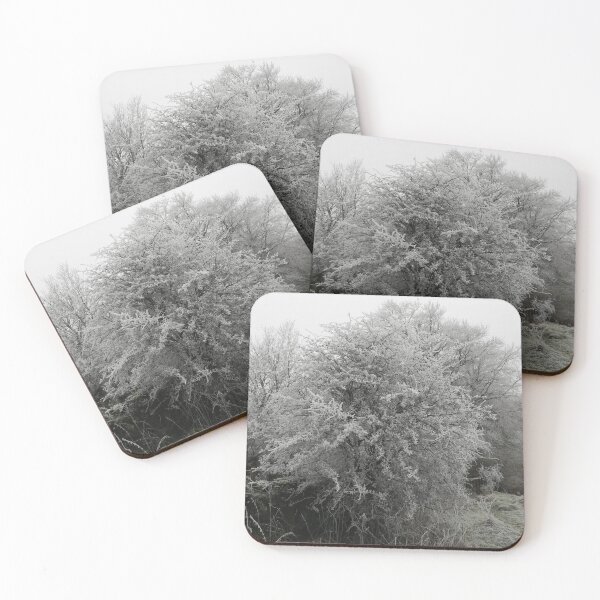 Item preview, Frosty hawthorn tree photograph  designed and sold by esvb.