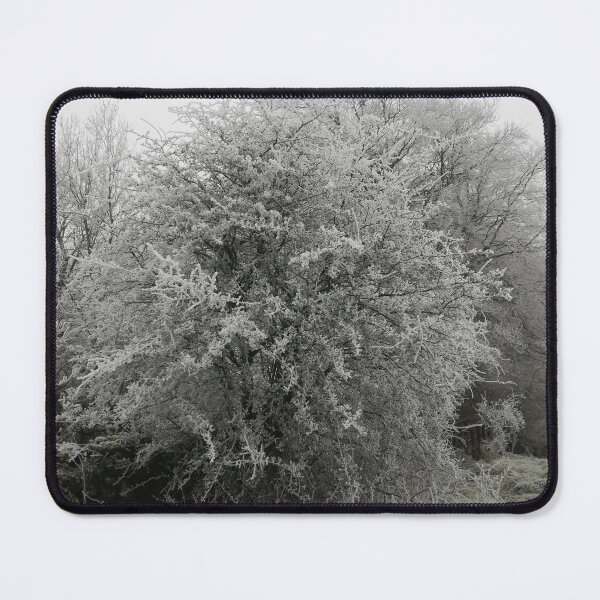 Item preview, Frosty hawthorn tree photograph designed and sold by esvb.