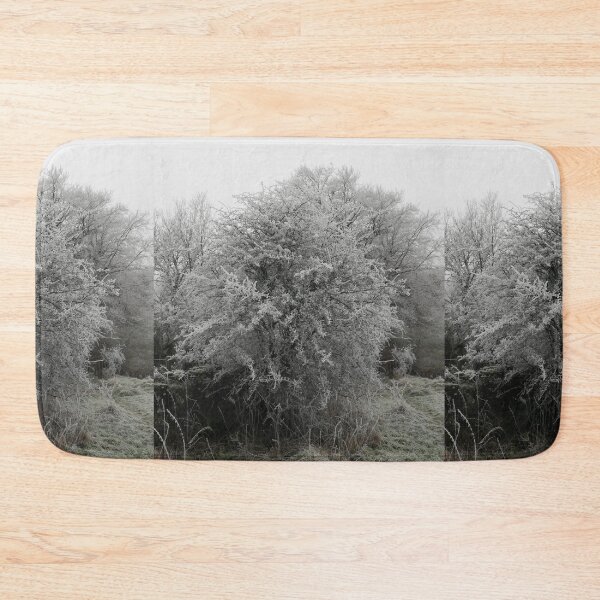 Item preview, Frosty hawthorn tree photograph  designed and sold by esvb.