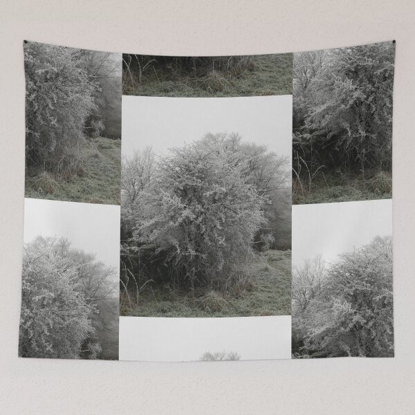 Item preview, Frosty hawthorn tree photograph  designed and sold by esvb.