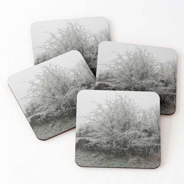 Item preview, Hawthorn tree on a frosty day photograph.  designed and sold by esvb.