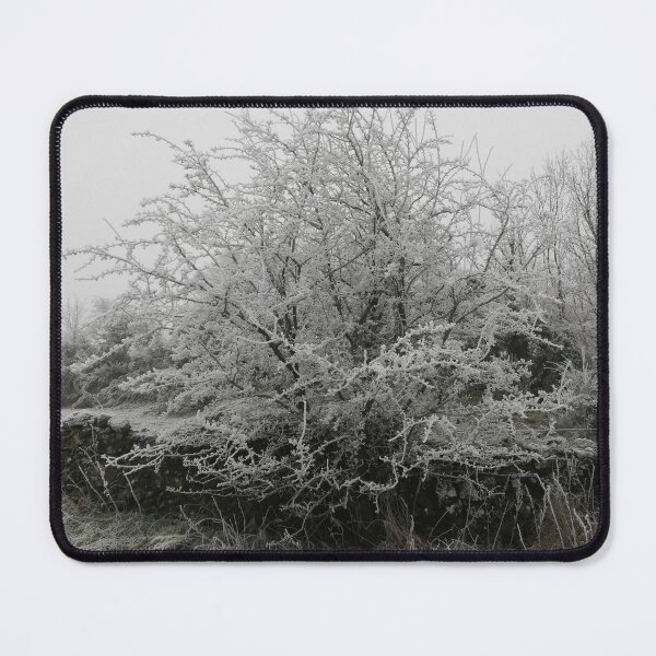 Item preview, Hawthorn tree on a frosty day photograph. designed and sold by esvb.