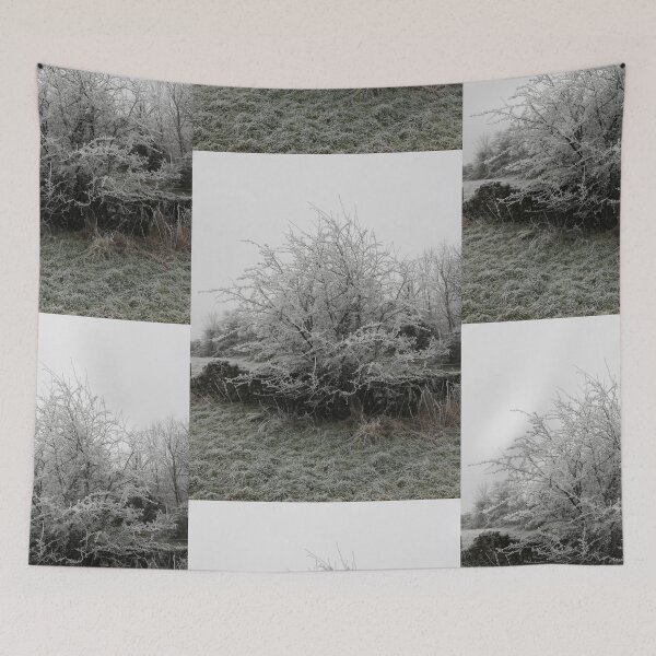 Item preview, Hawthorn tree on a frosty day photograph.  designed and sold by esvb.