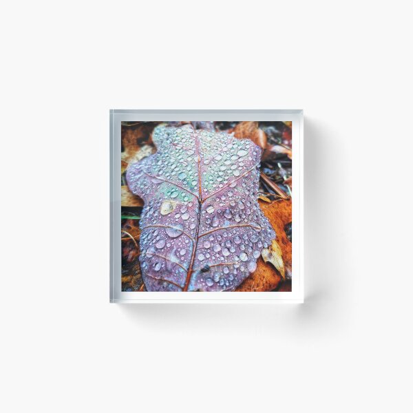Item preview, Rain drops on a purple fall leaf designed and sold by Dirtpathdesigns.