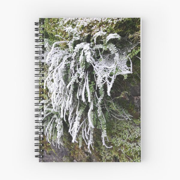 Item preview, Wall on a frosty day photograph  designed and sold by esvb.