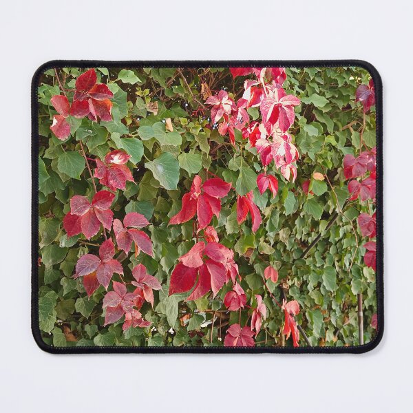 Item preview, Autumn Symphony designed and sold by DimitraMimika.