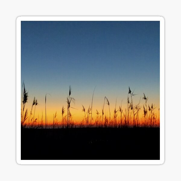 Contrast at dawn Sticker