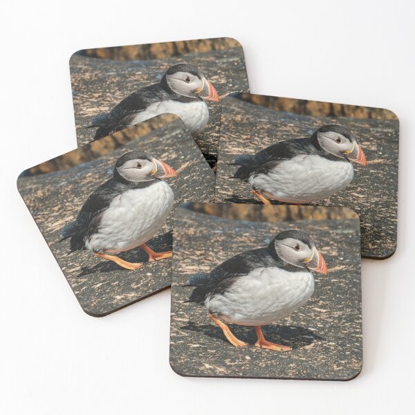 Item preview, Puffin on the Roicks designed and sold by Tom McPherson Photography.